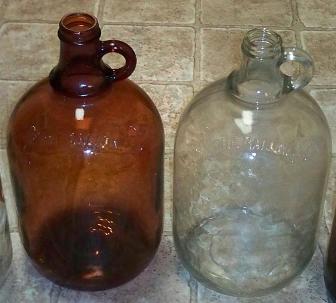 1 gallon carboys.jpg