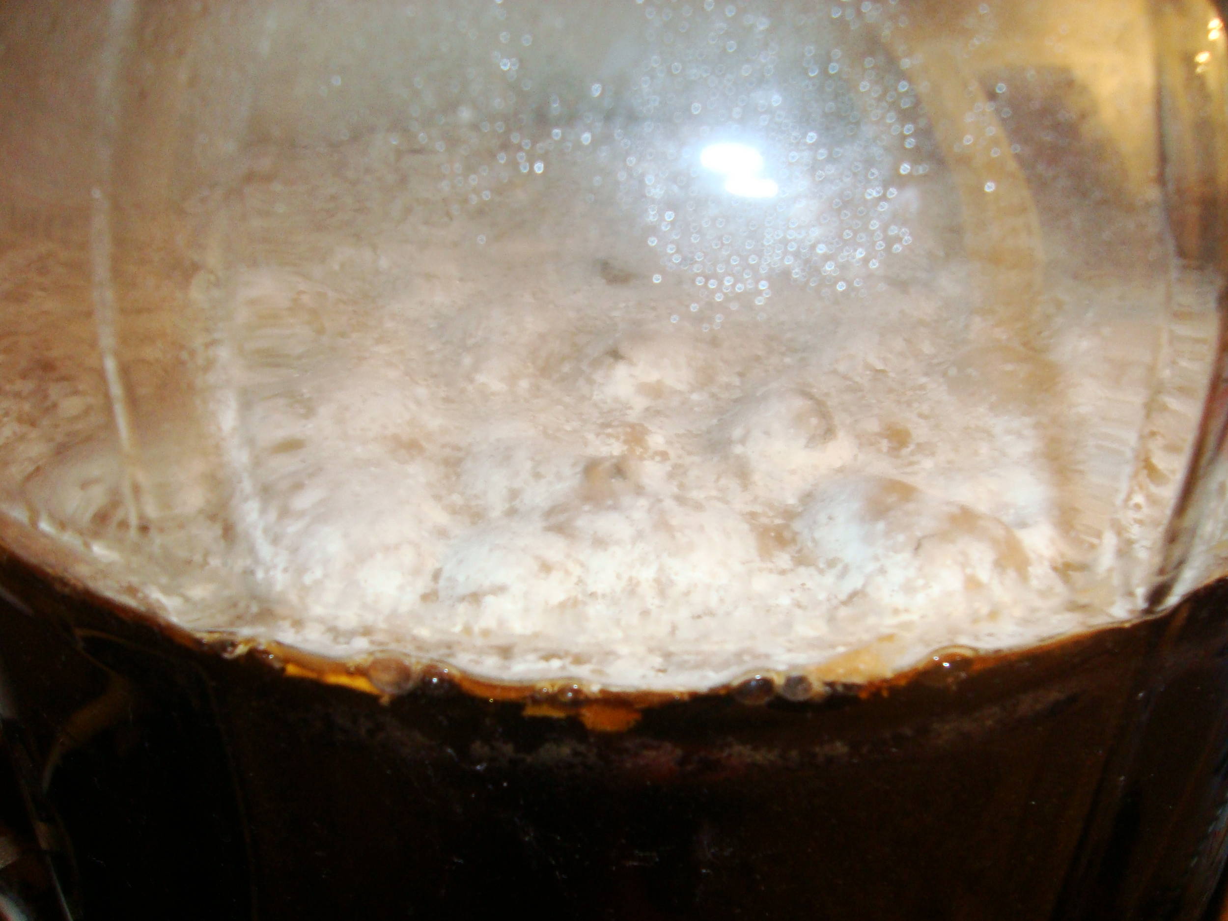 Pellicle1