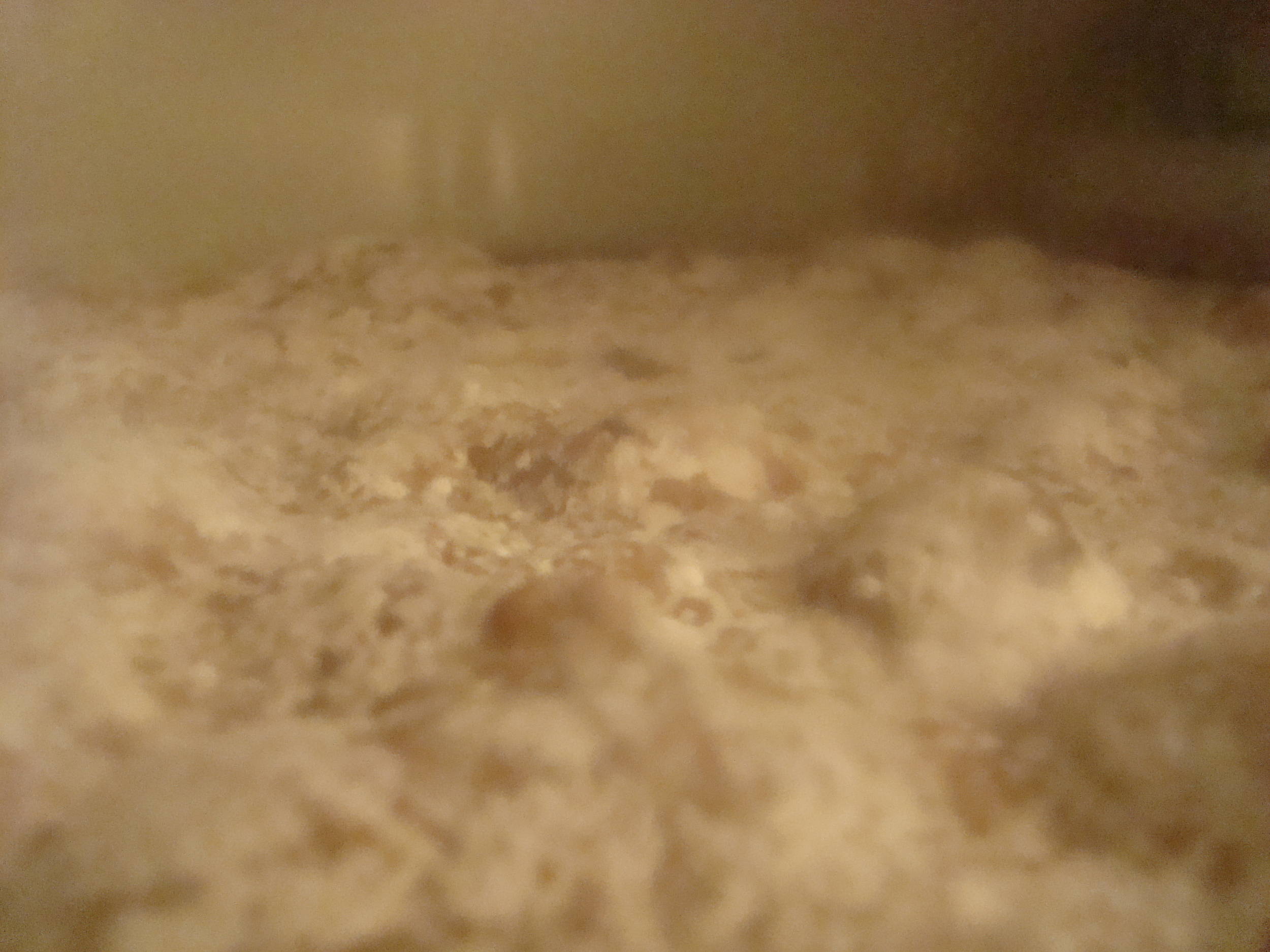 Pellicle2