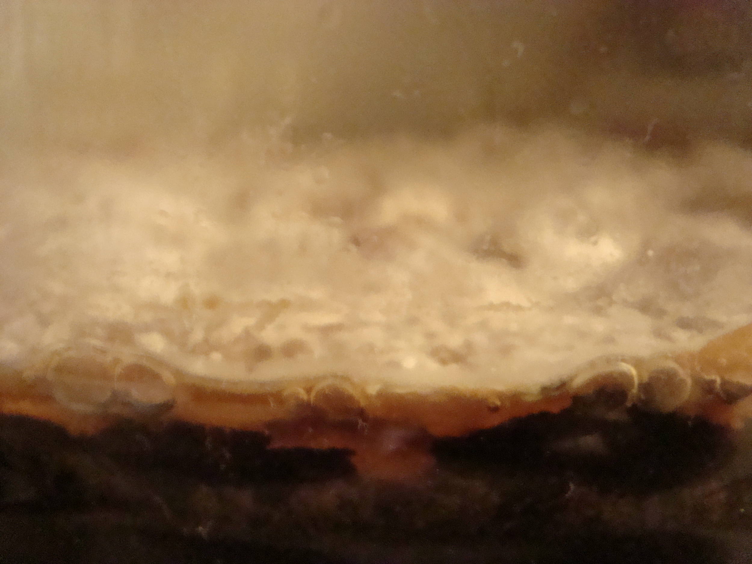 Pellicle3