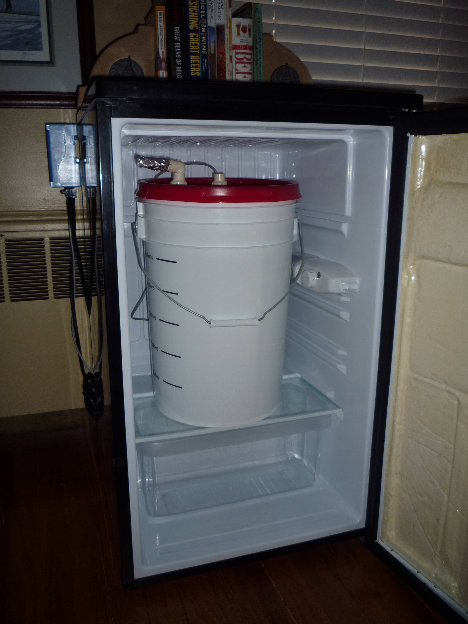 InsdieFermFridge