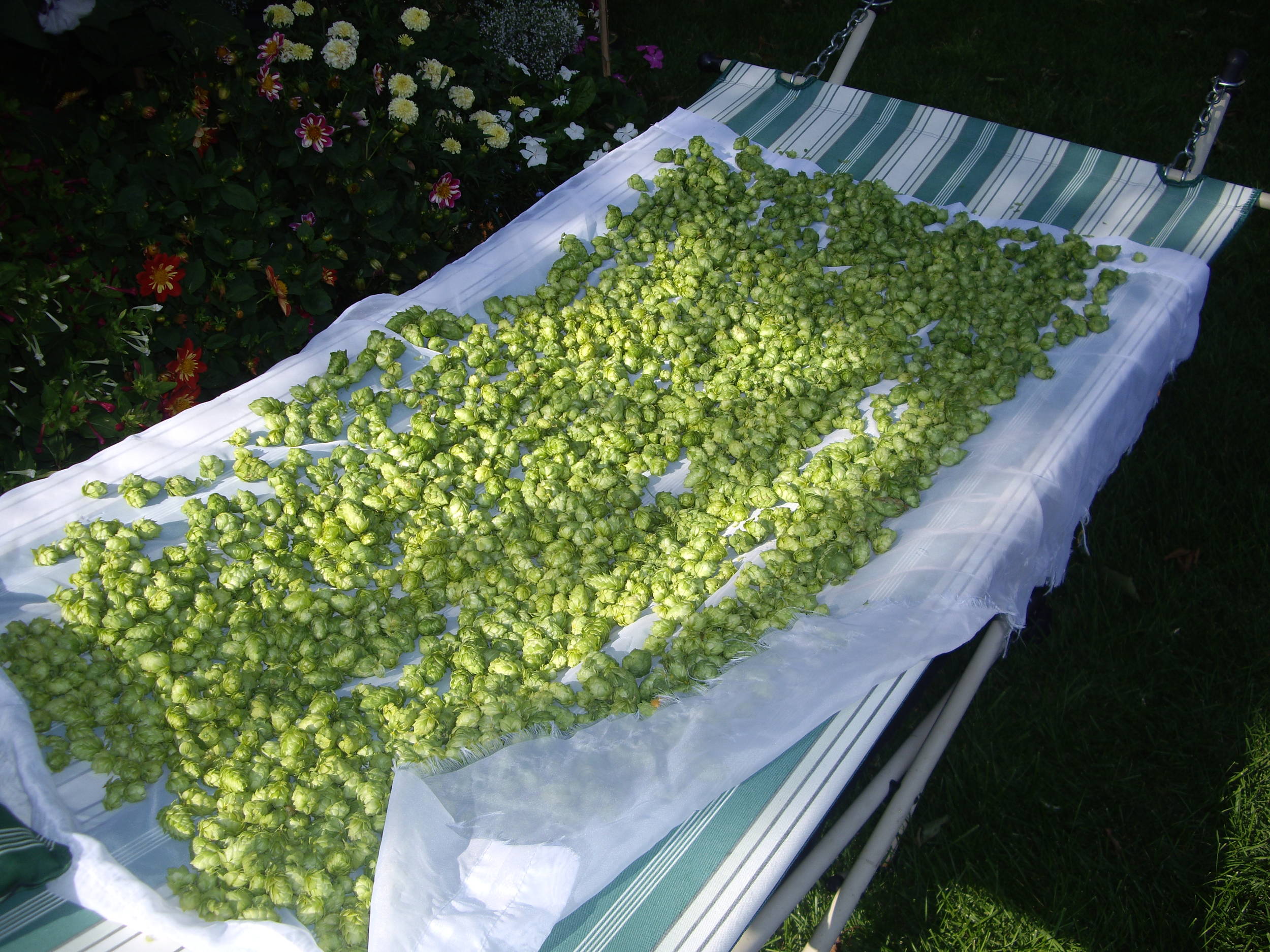 CascadeDrying