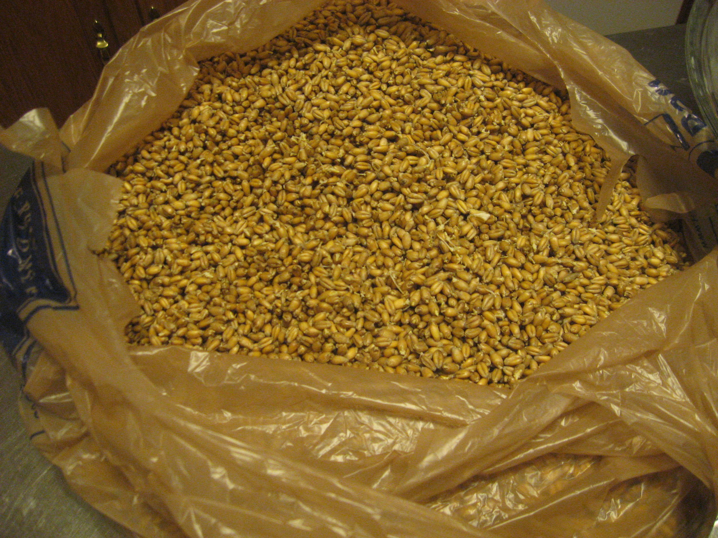 MaltMaking