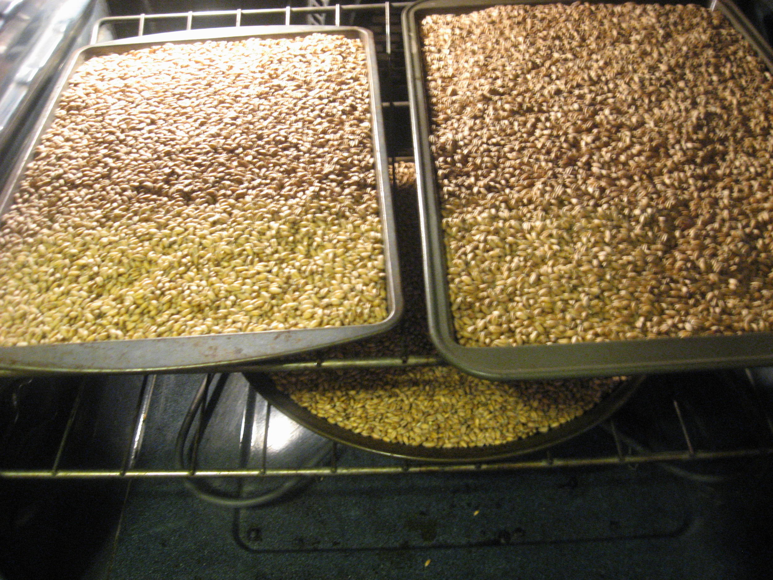 MaltMaking