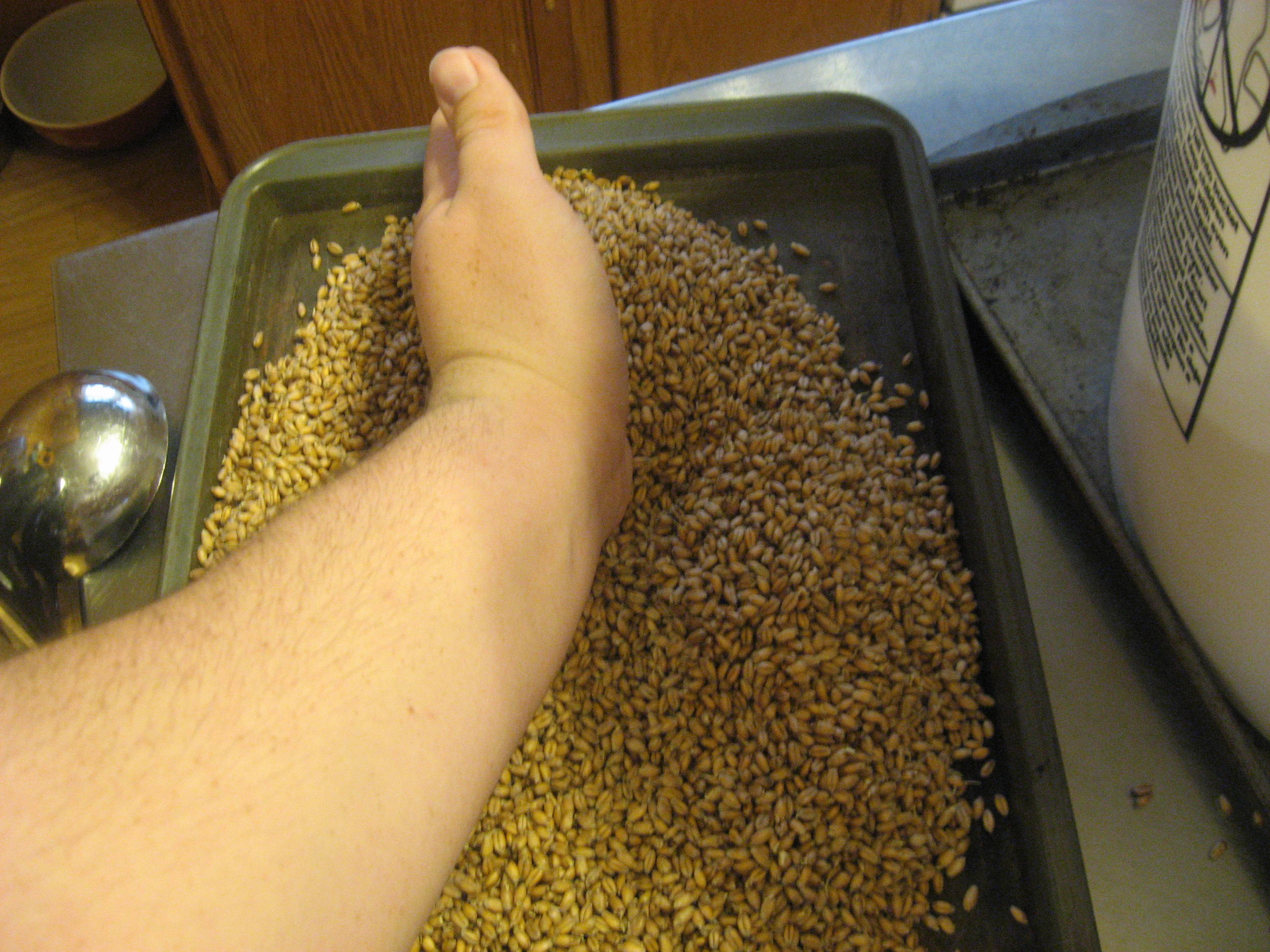 MaltMaking