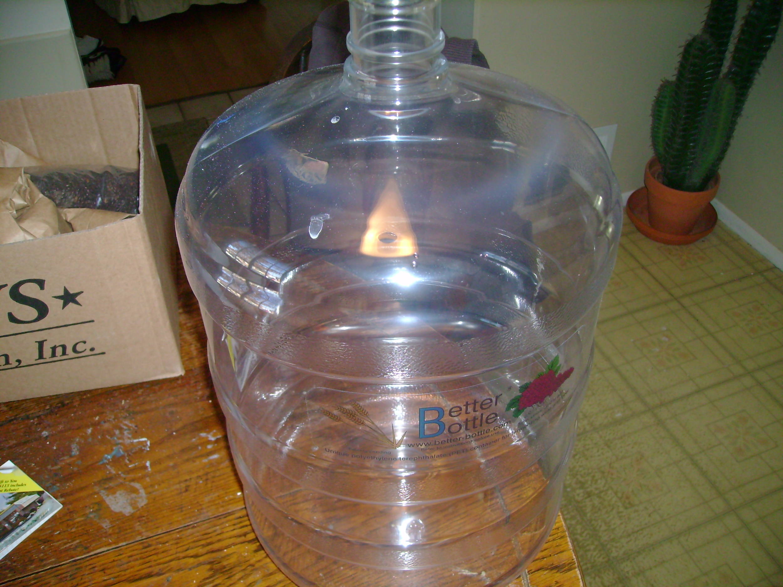 DSC01668