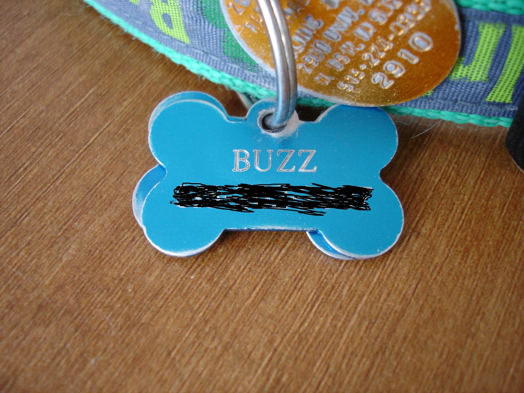 buzz_shot_004