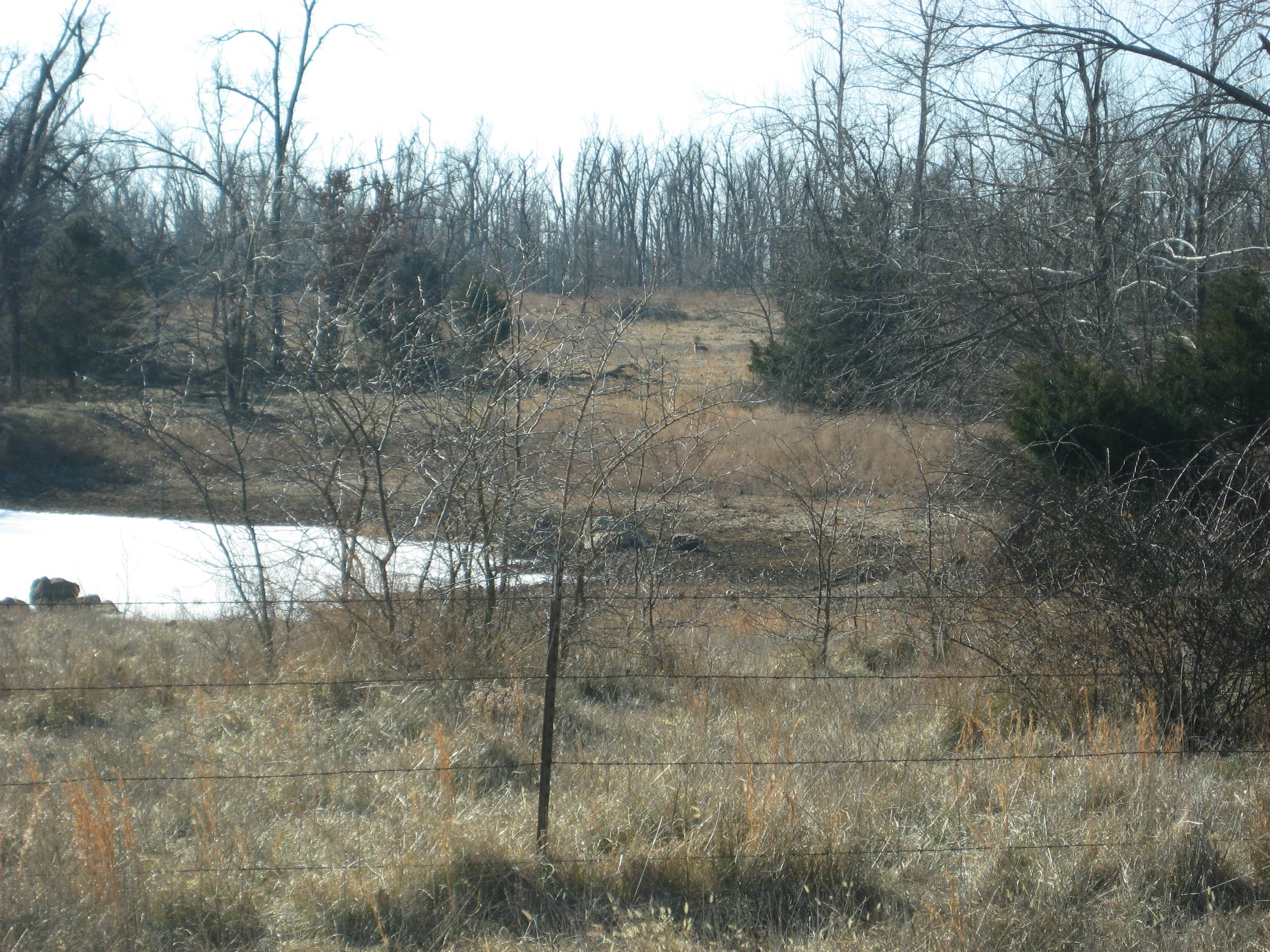 MountainLion