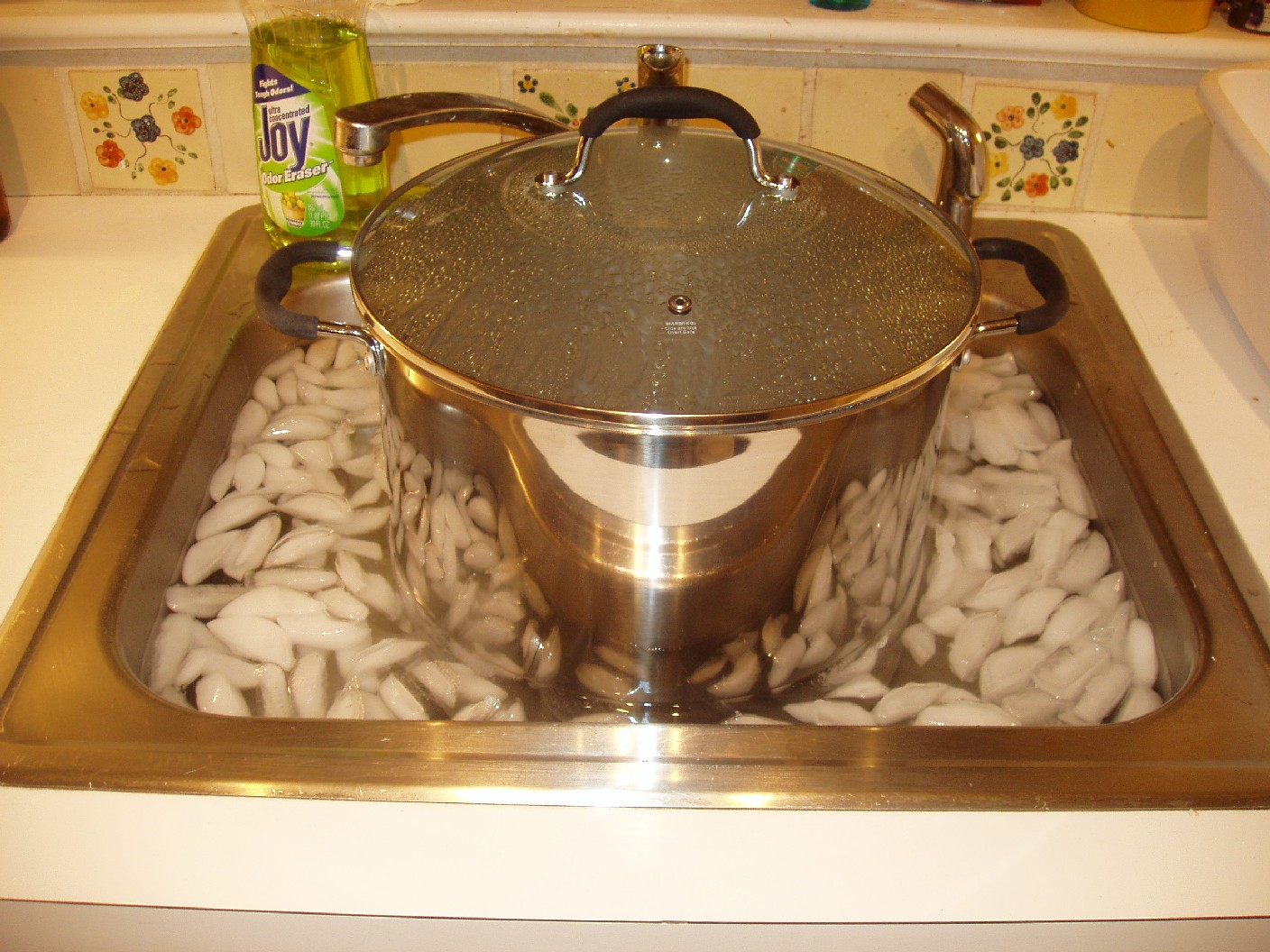 Theholyicebath