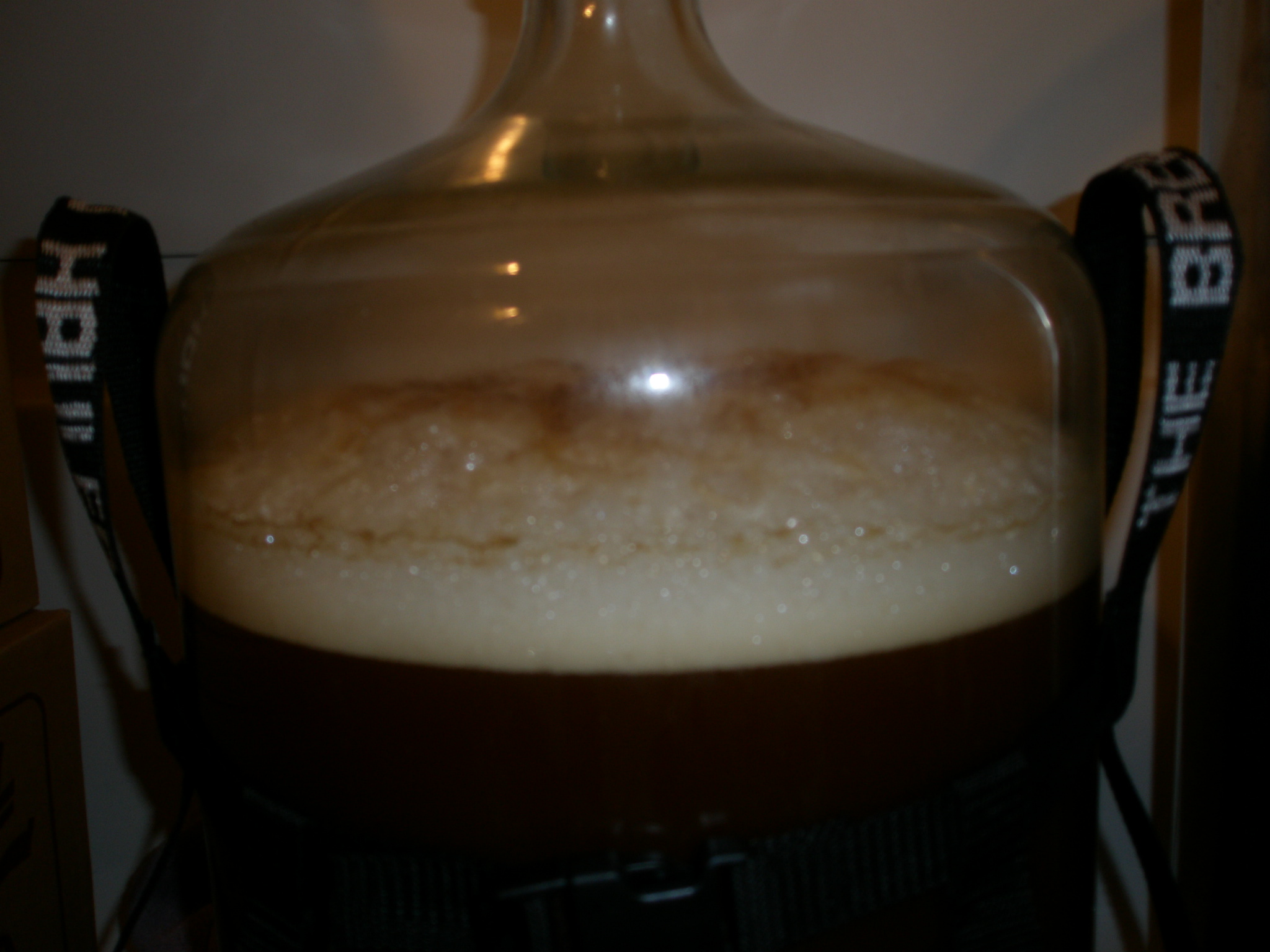 BraggotFermentation