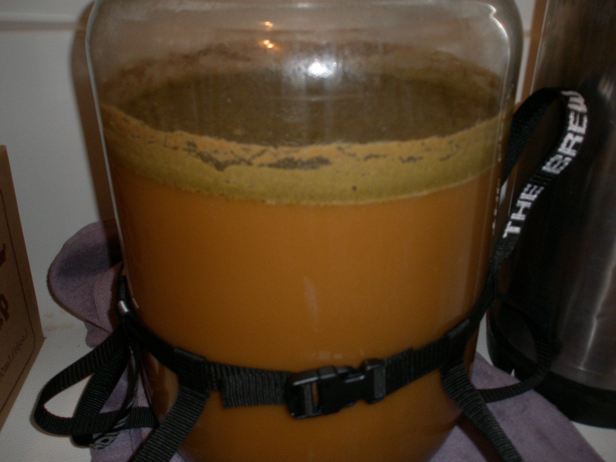 BraggotFermentation