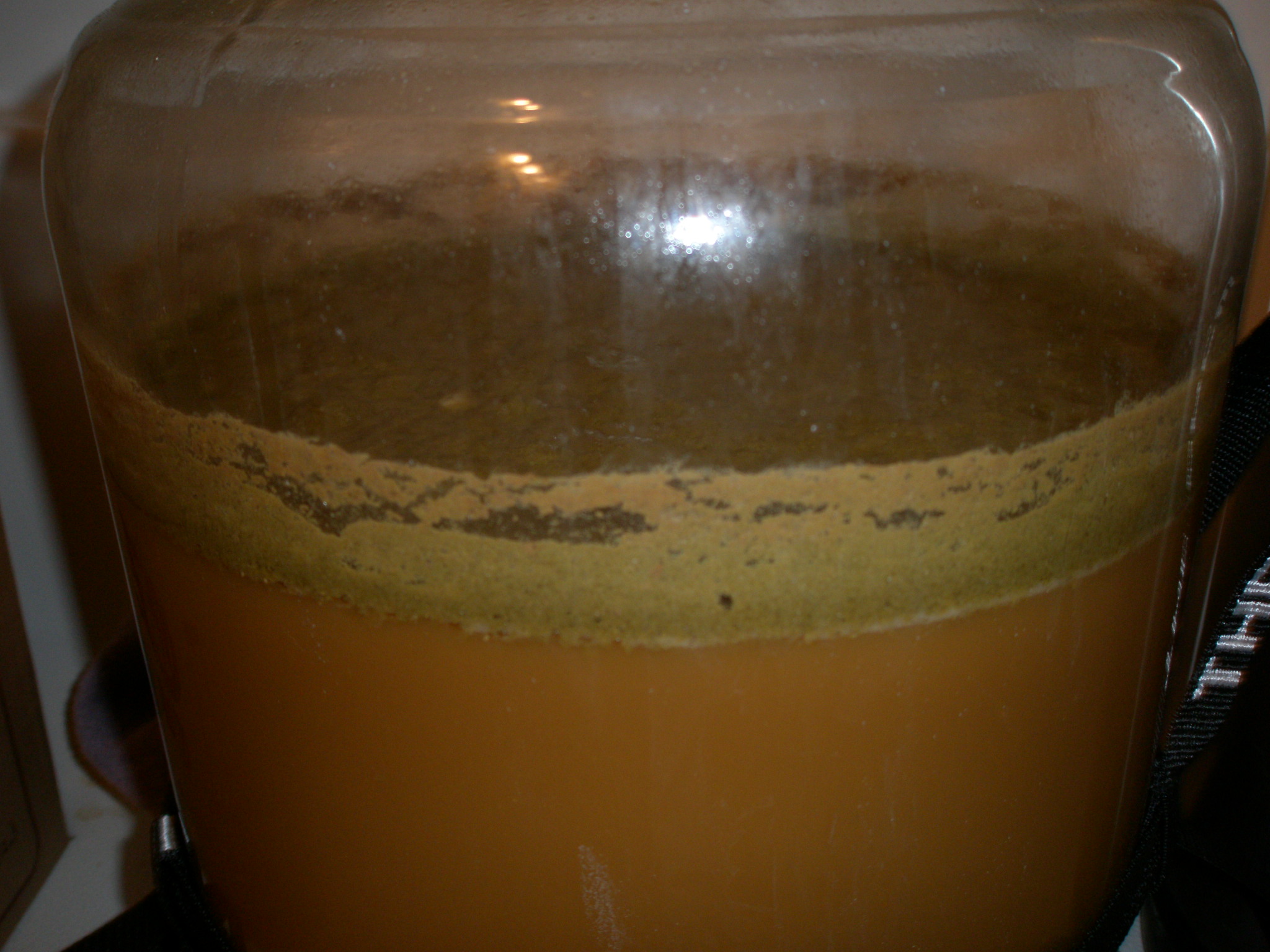 BraggotFermentation