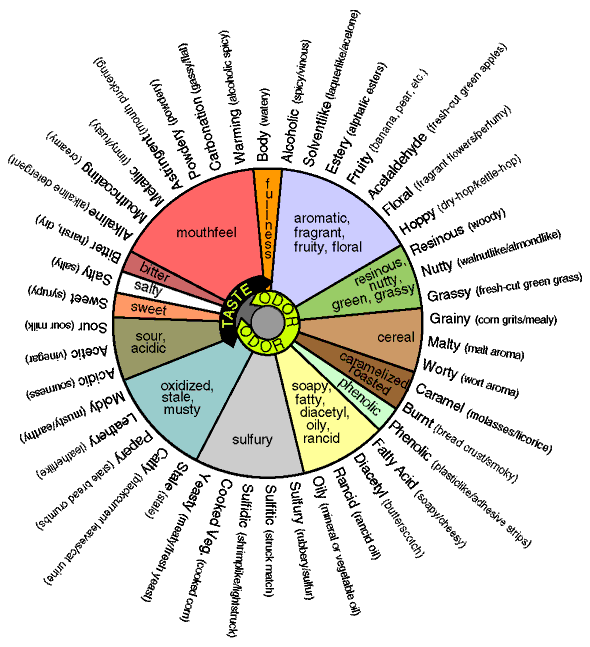 FlavorWheel