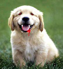 ZombiePuppy