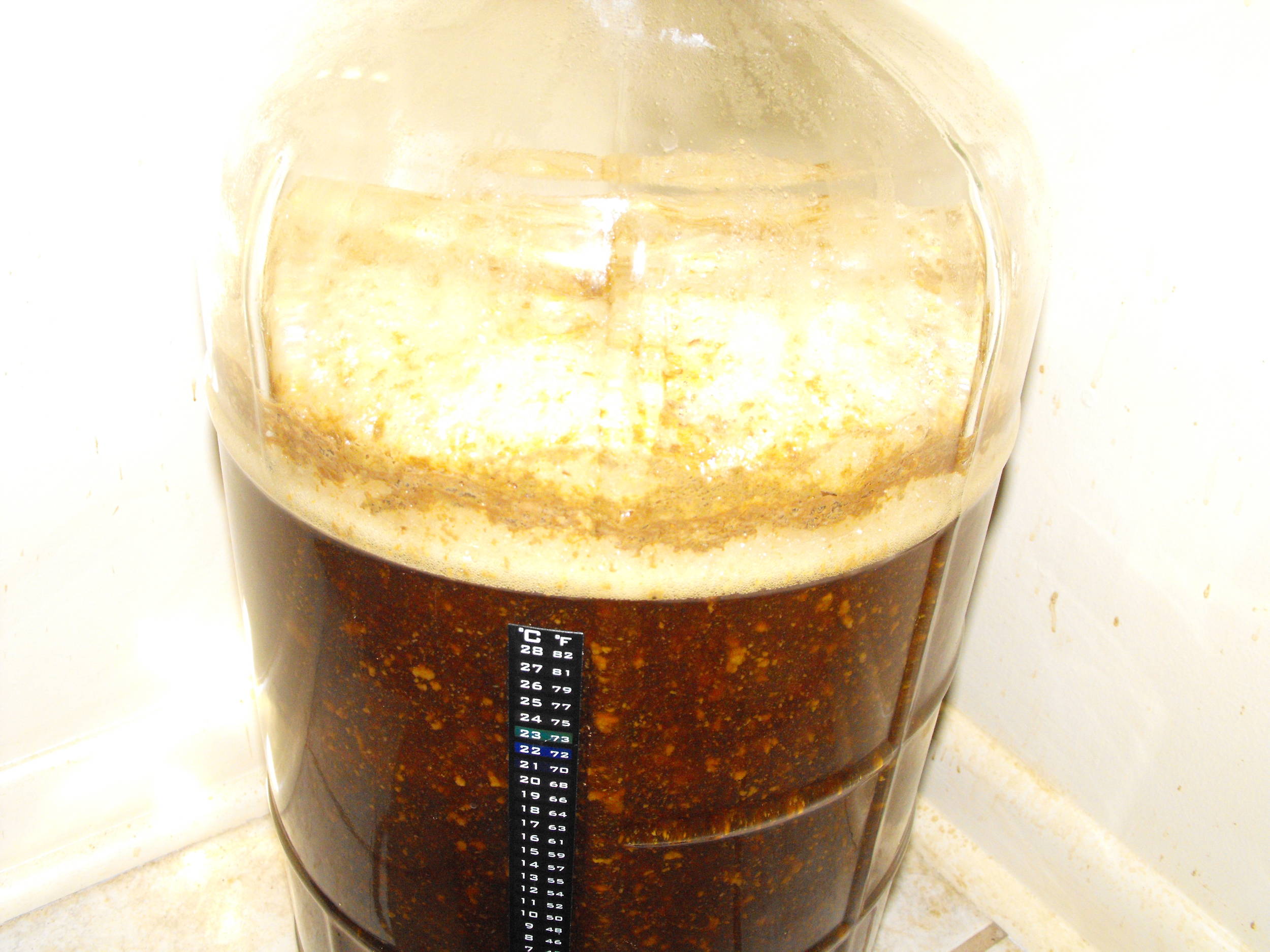 VanillaCreamBrownAle