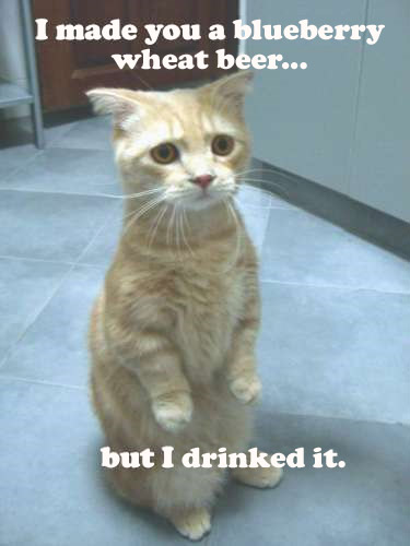 sourpuss