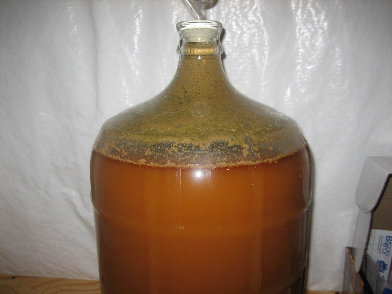 beer17