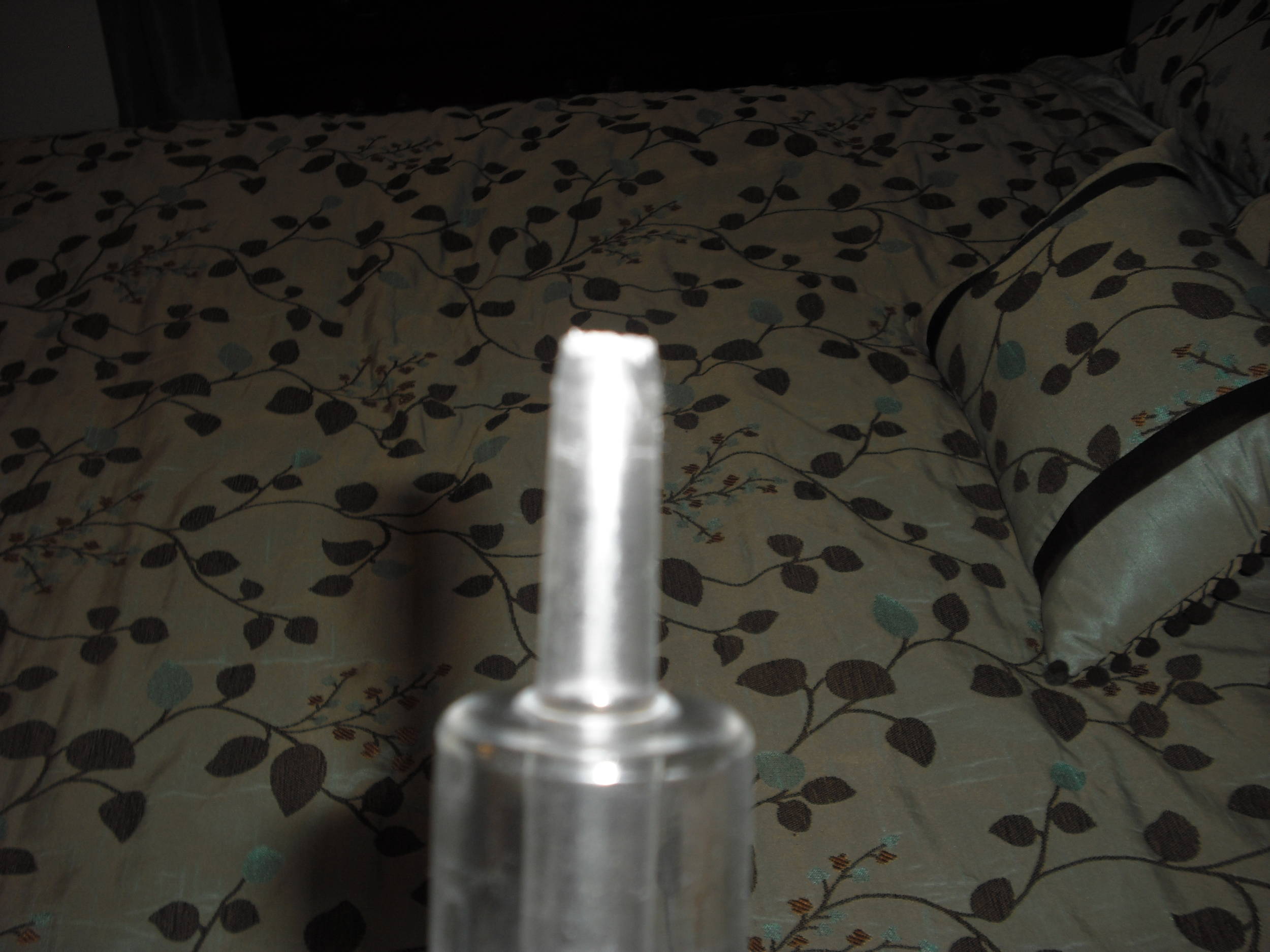CIMG0282