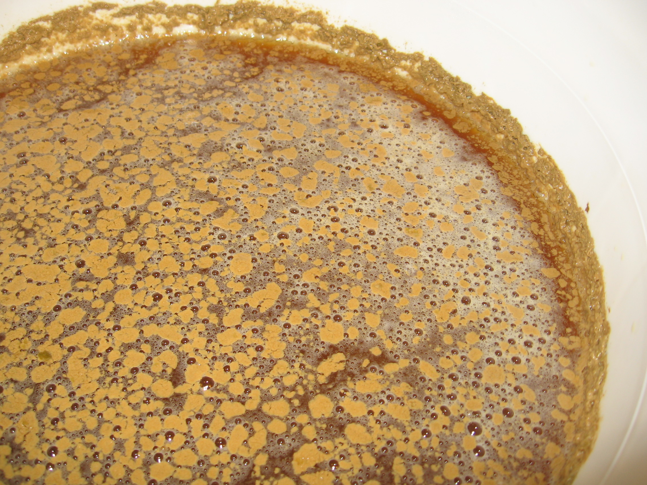 Bacteria1
