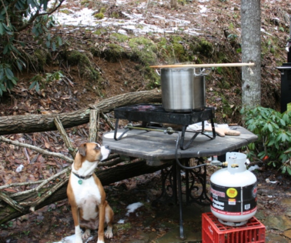 brewday_0081