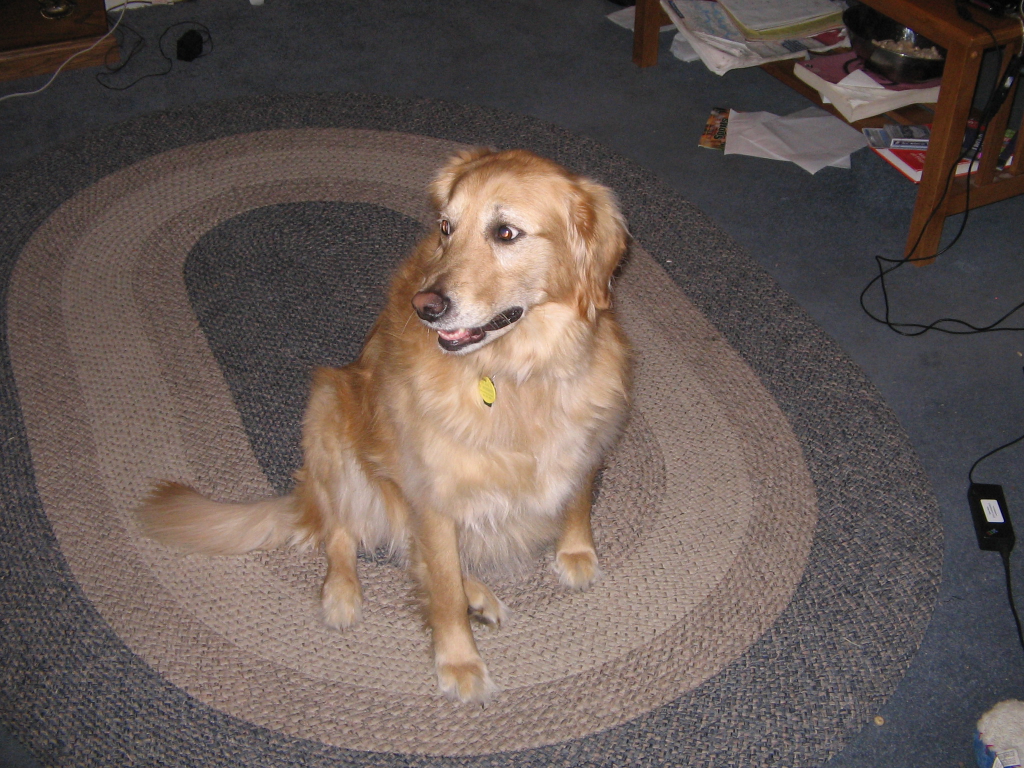 Mypooch