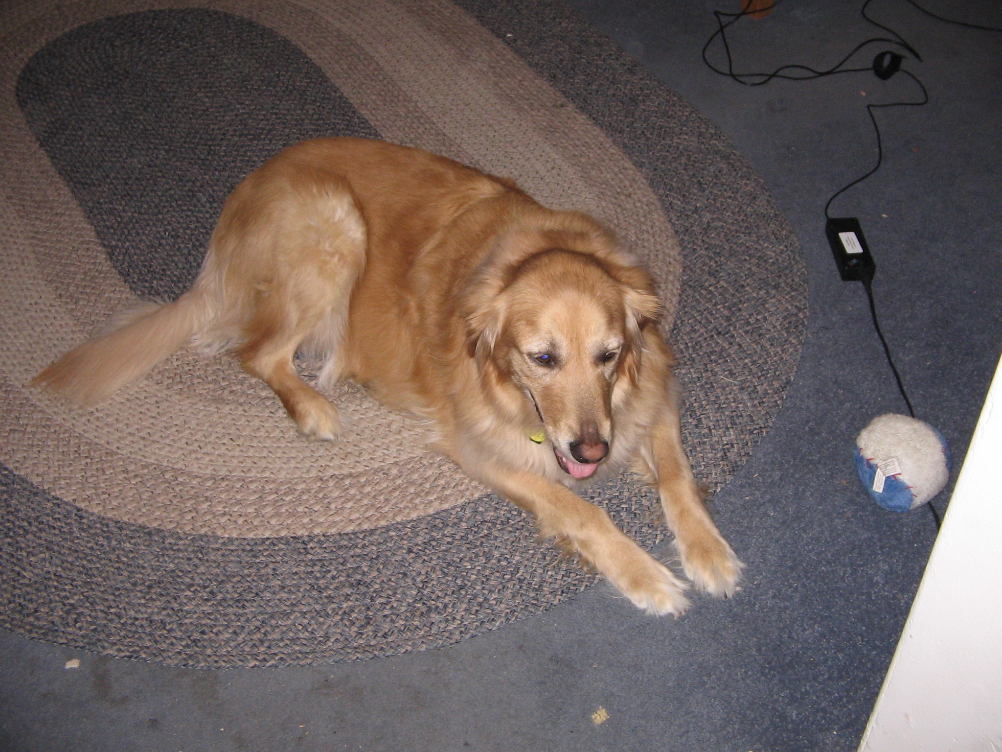 Mypooch