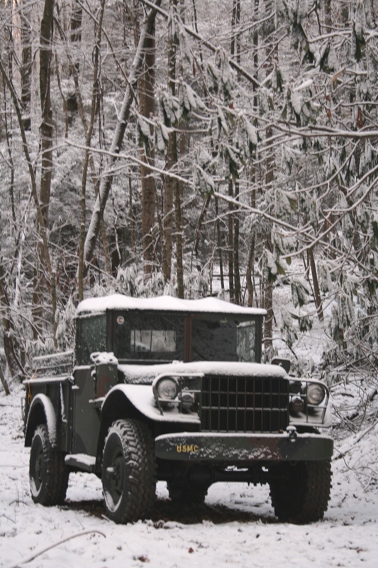 snowy_m37_small