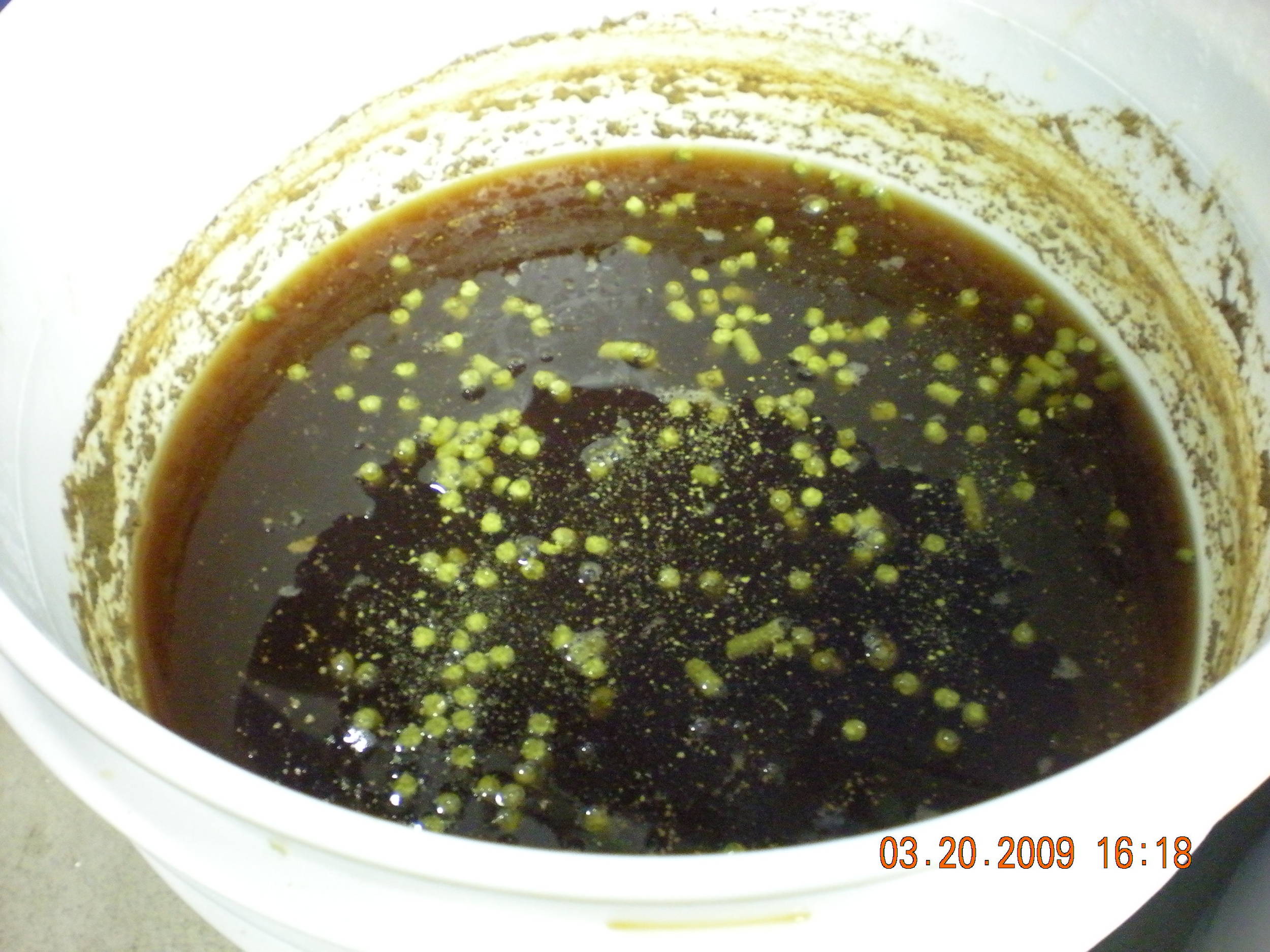 DSCN04331