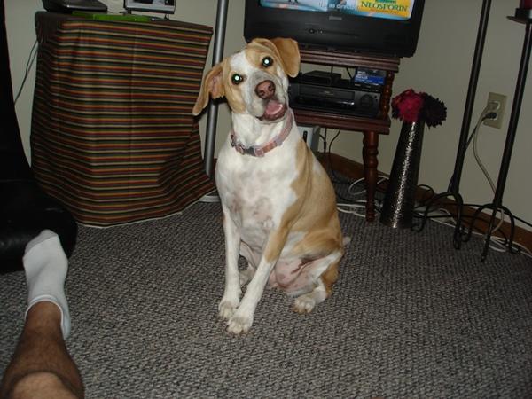 Tess