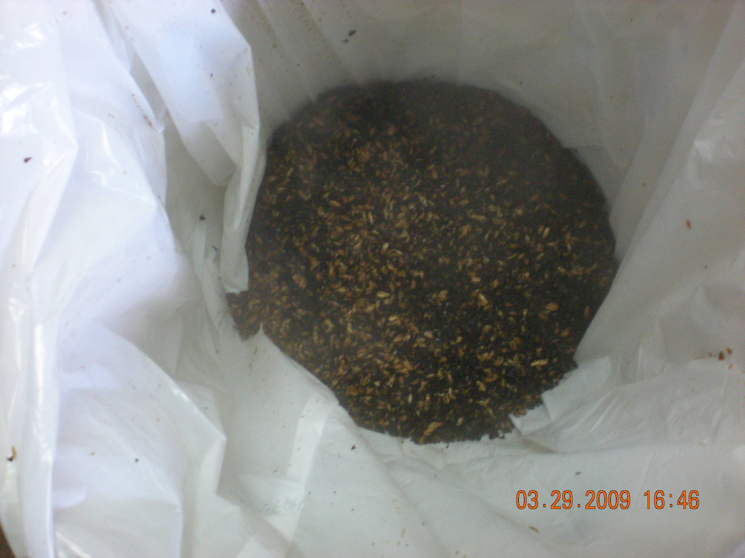 5GDryStoutsteepedgrains