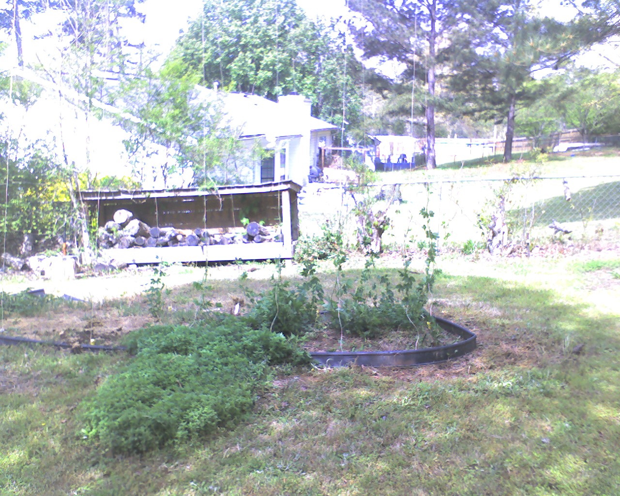 Hopsfor2009