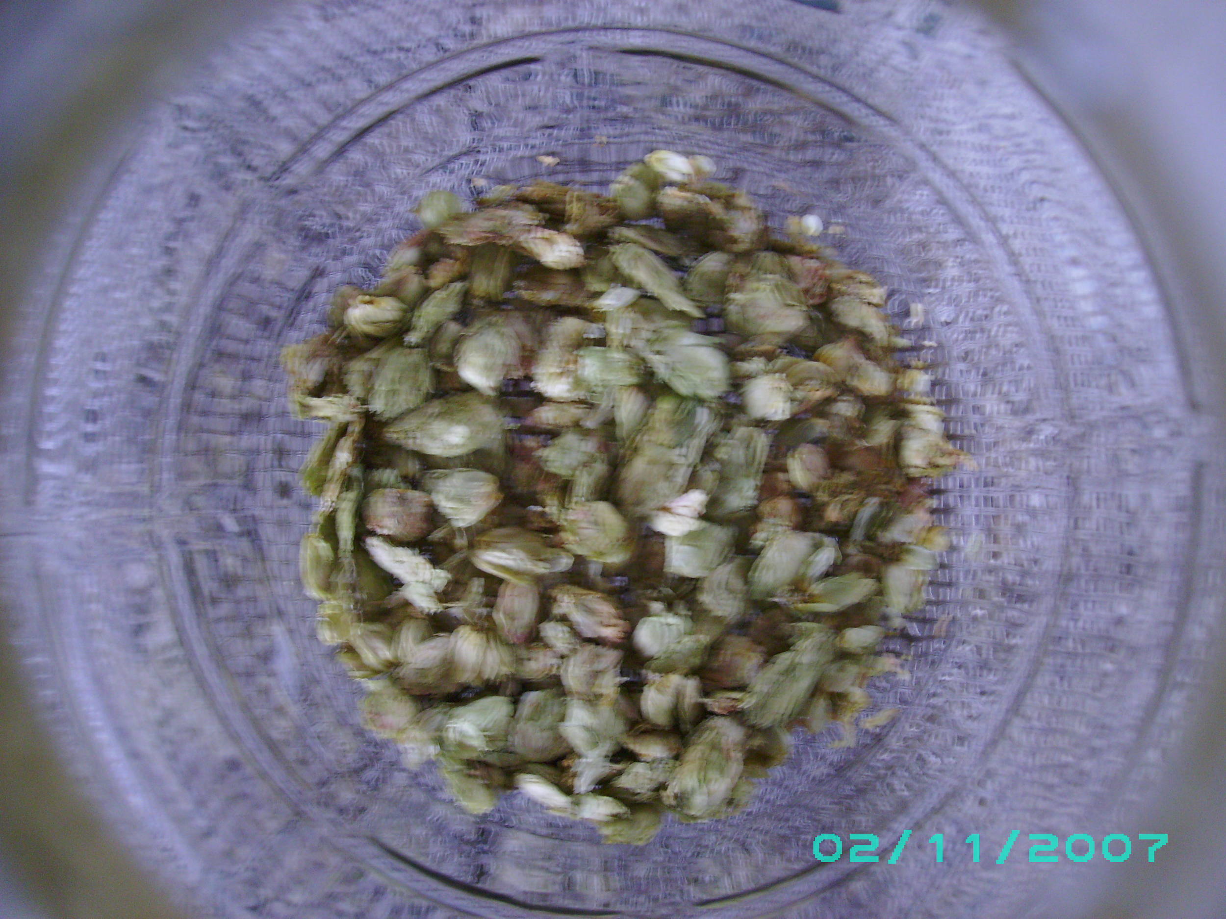 4202009_001