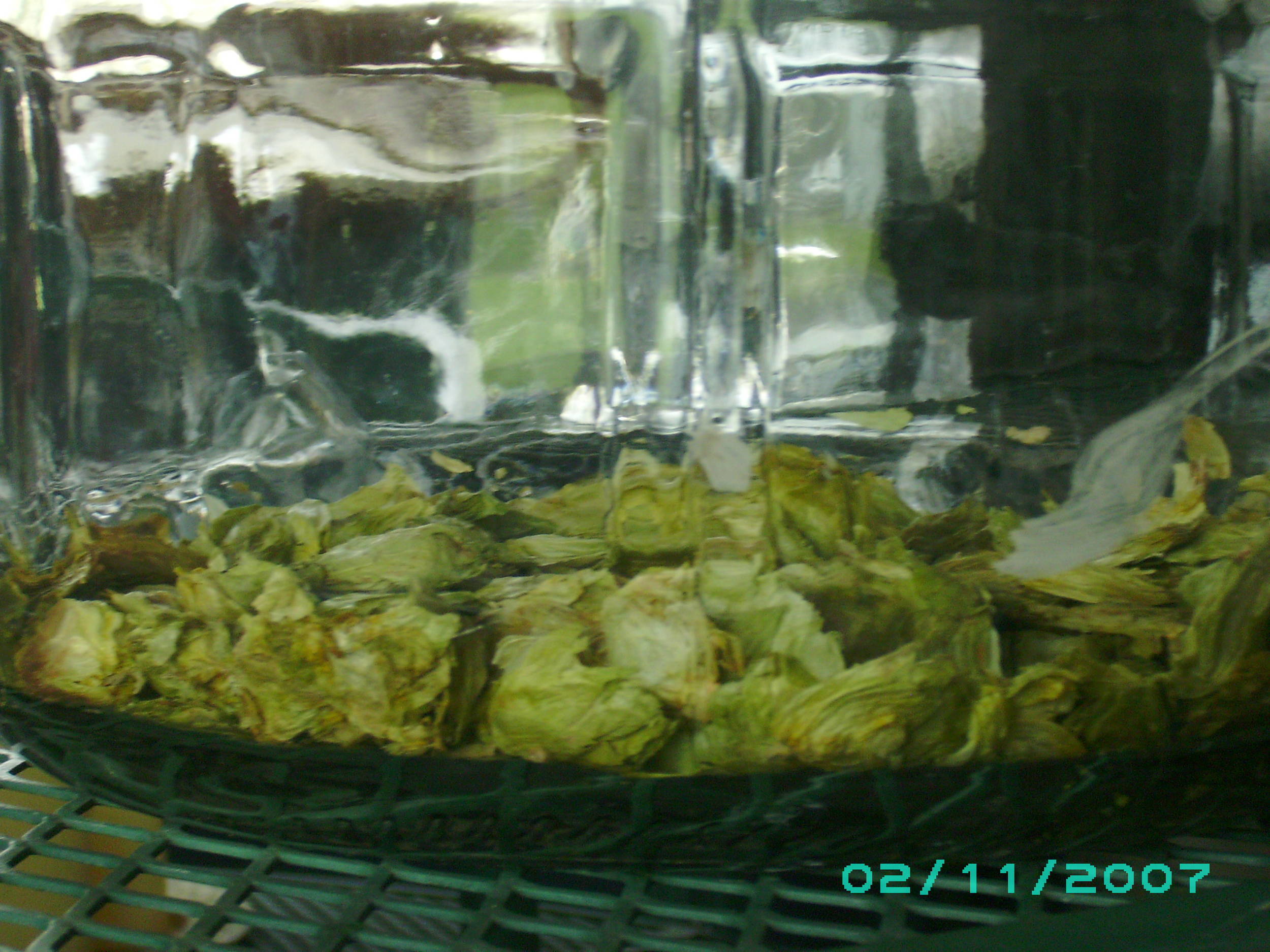 4202009_002