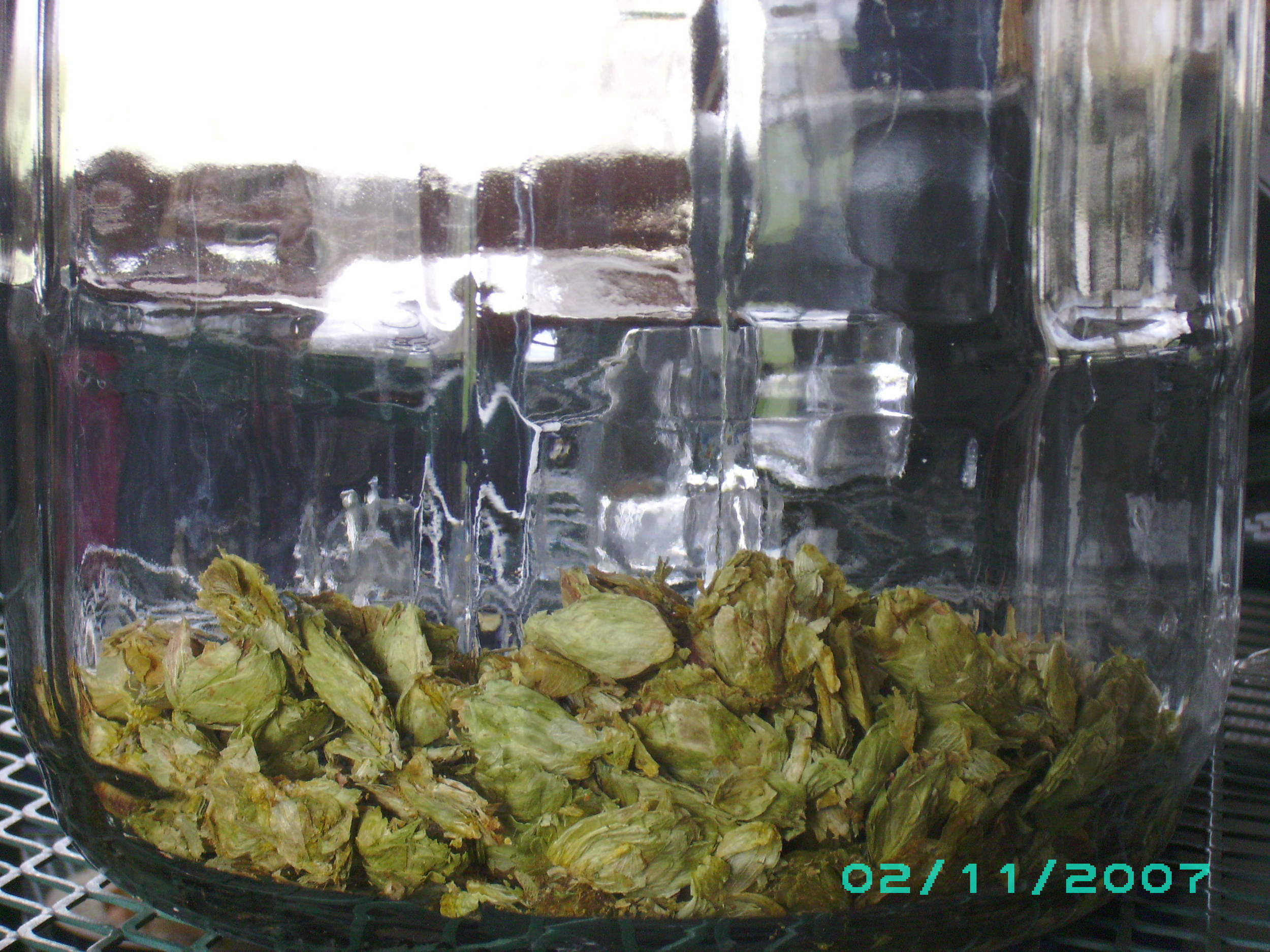 4202009_003