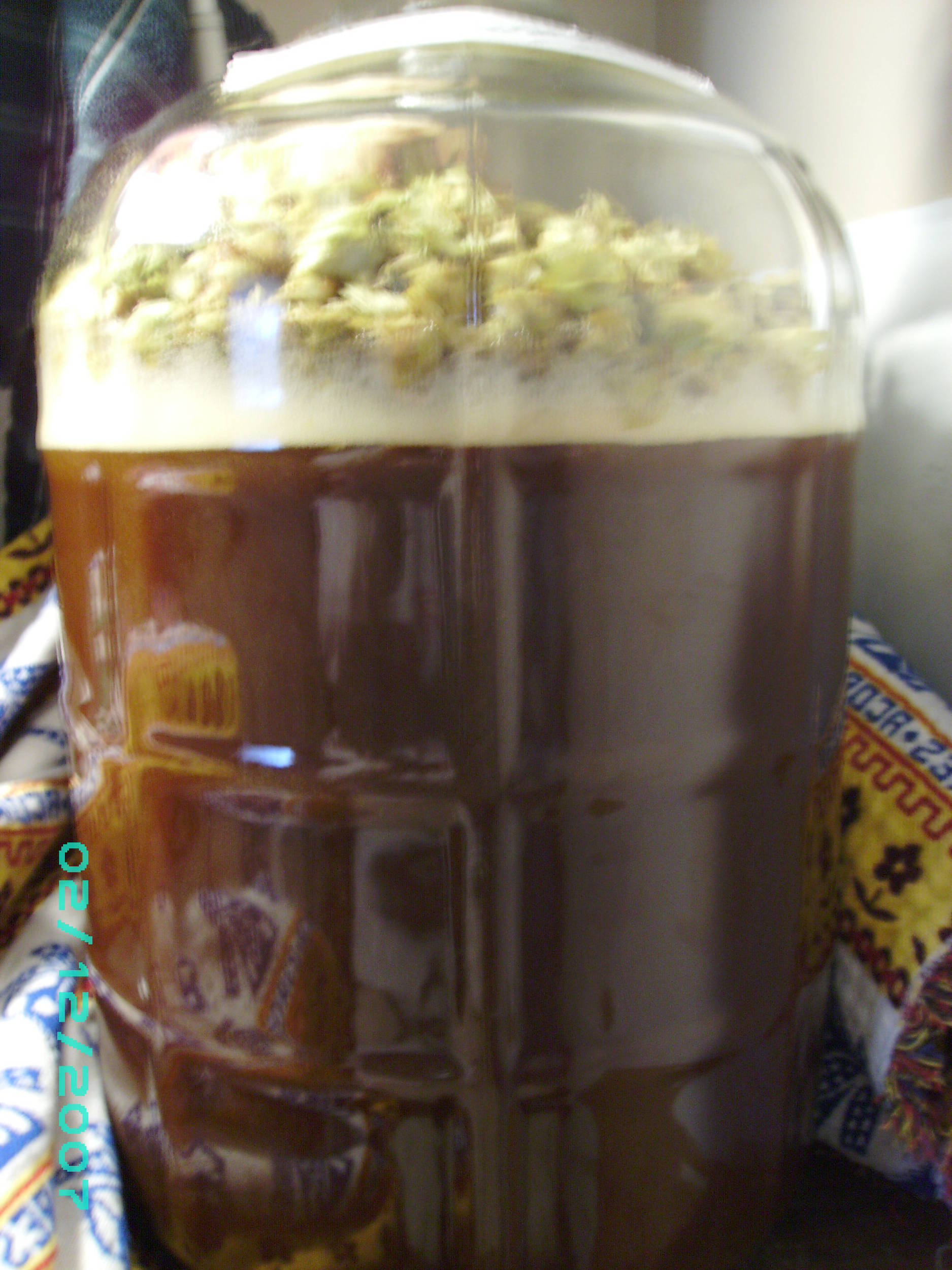 4202009_011