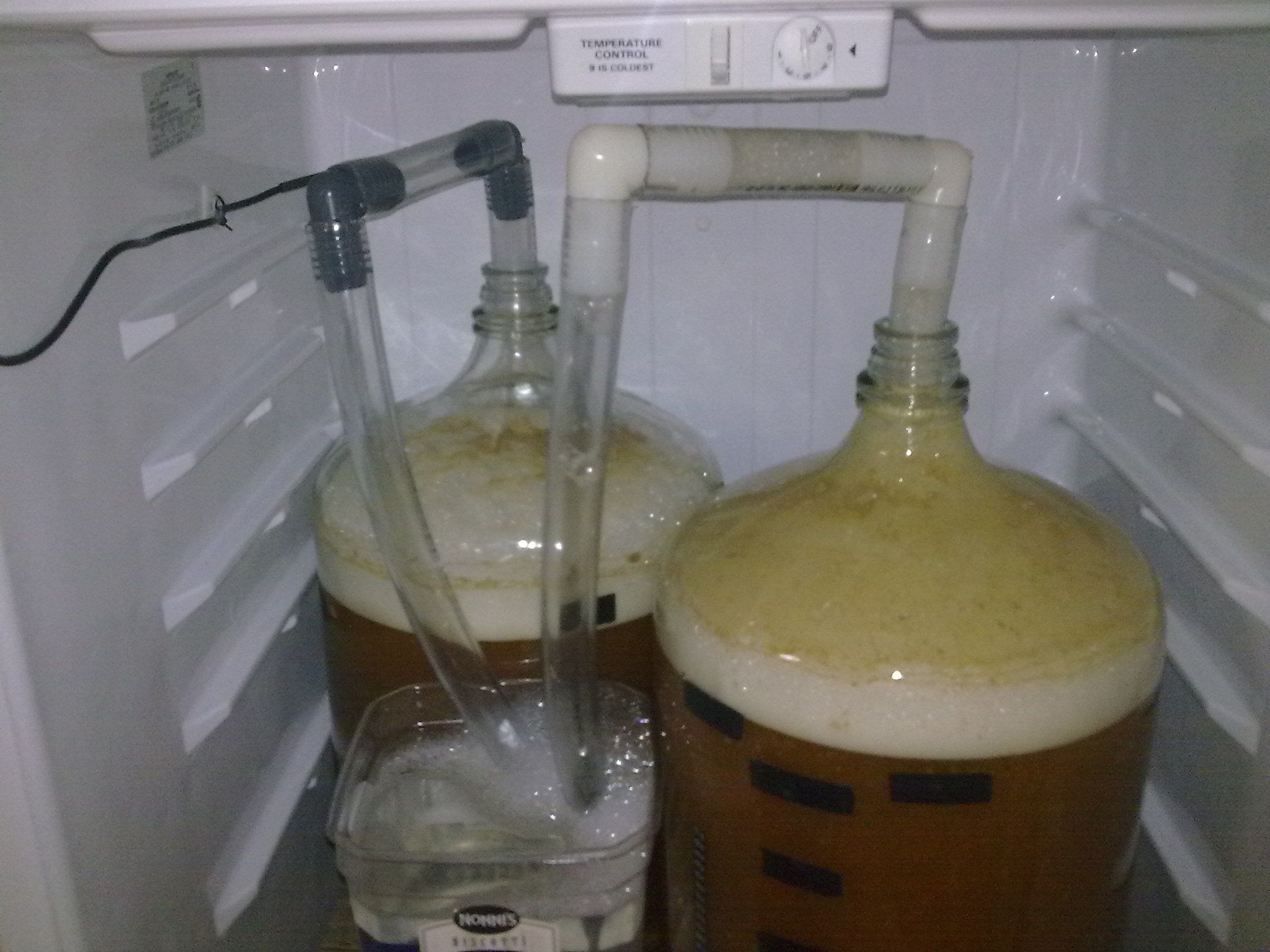FridgeandCarboys