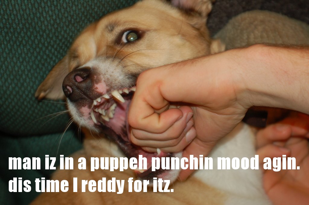 puppeh