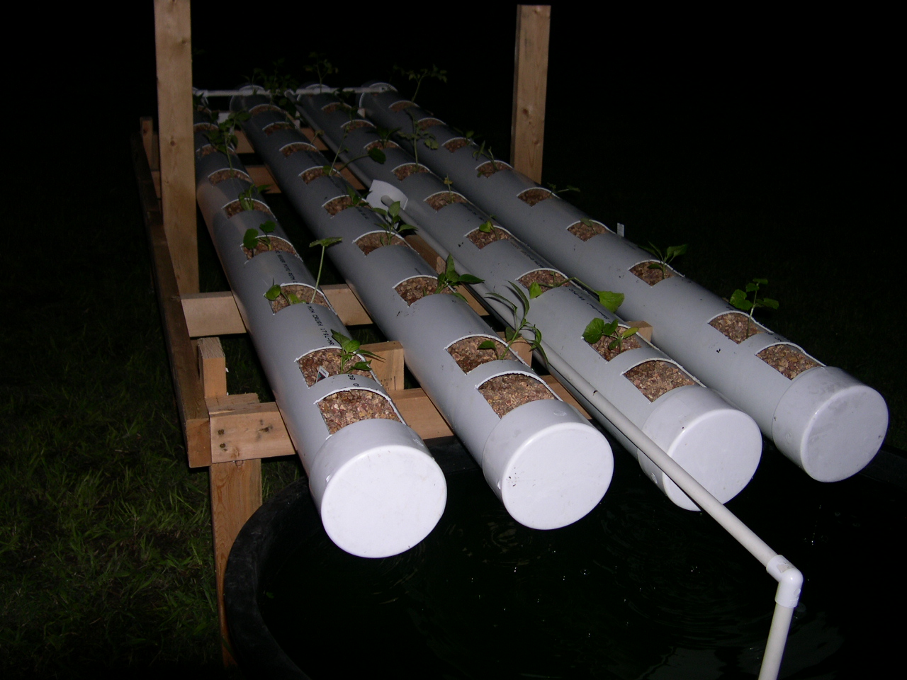 Aquaponicsystem