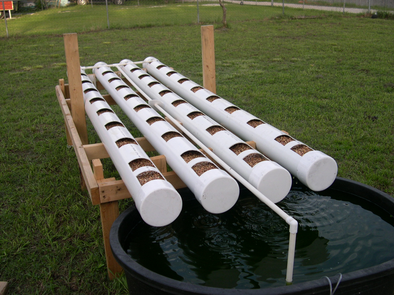 Aquaponicsystem