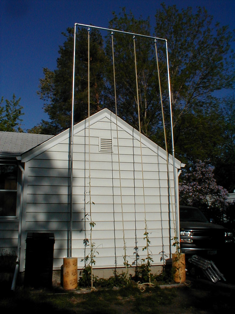 NewHopTrellis