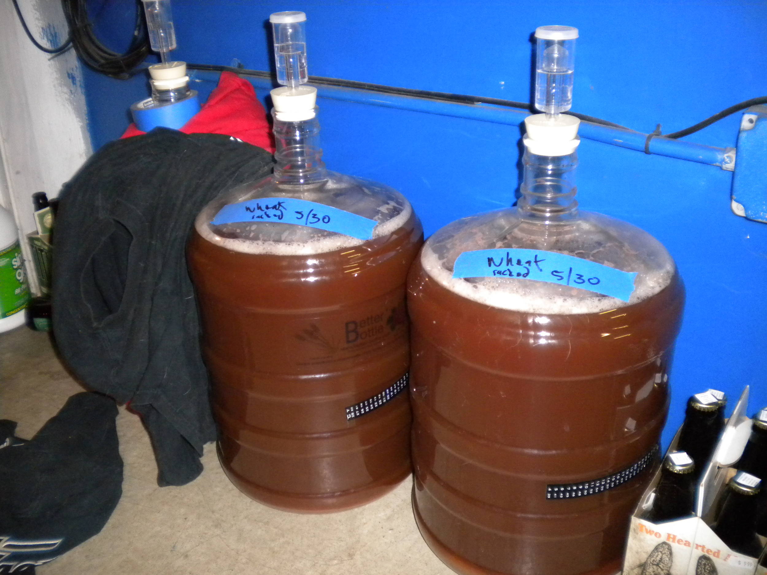 ferment
