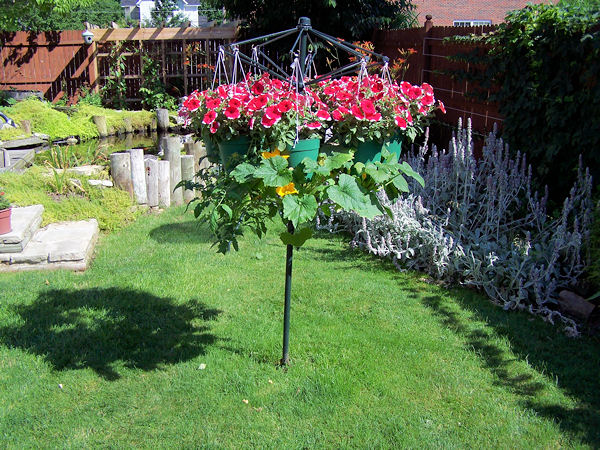 brollyplants