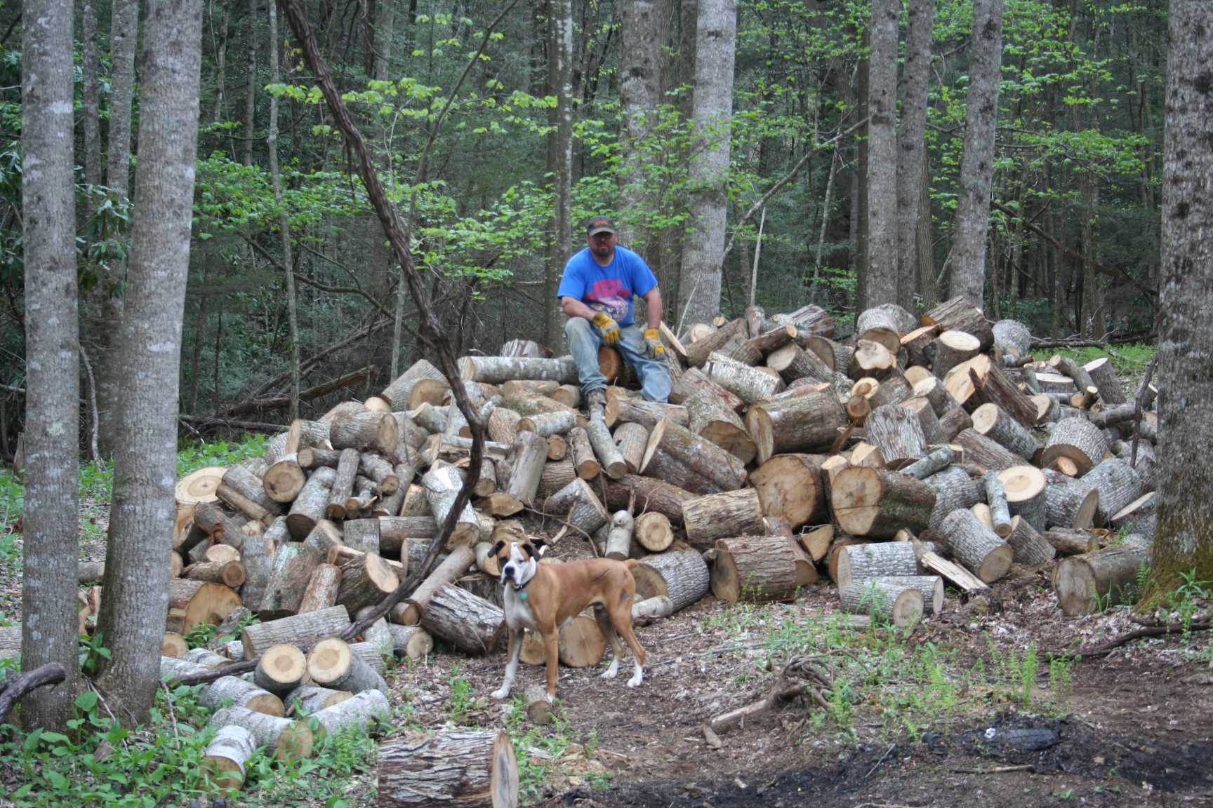 groundwork_034