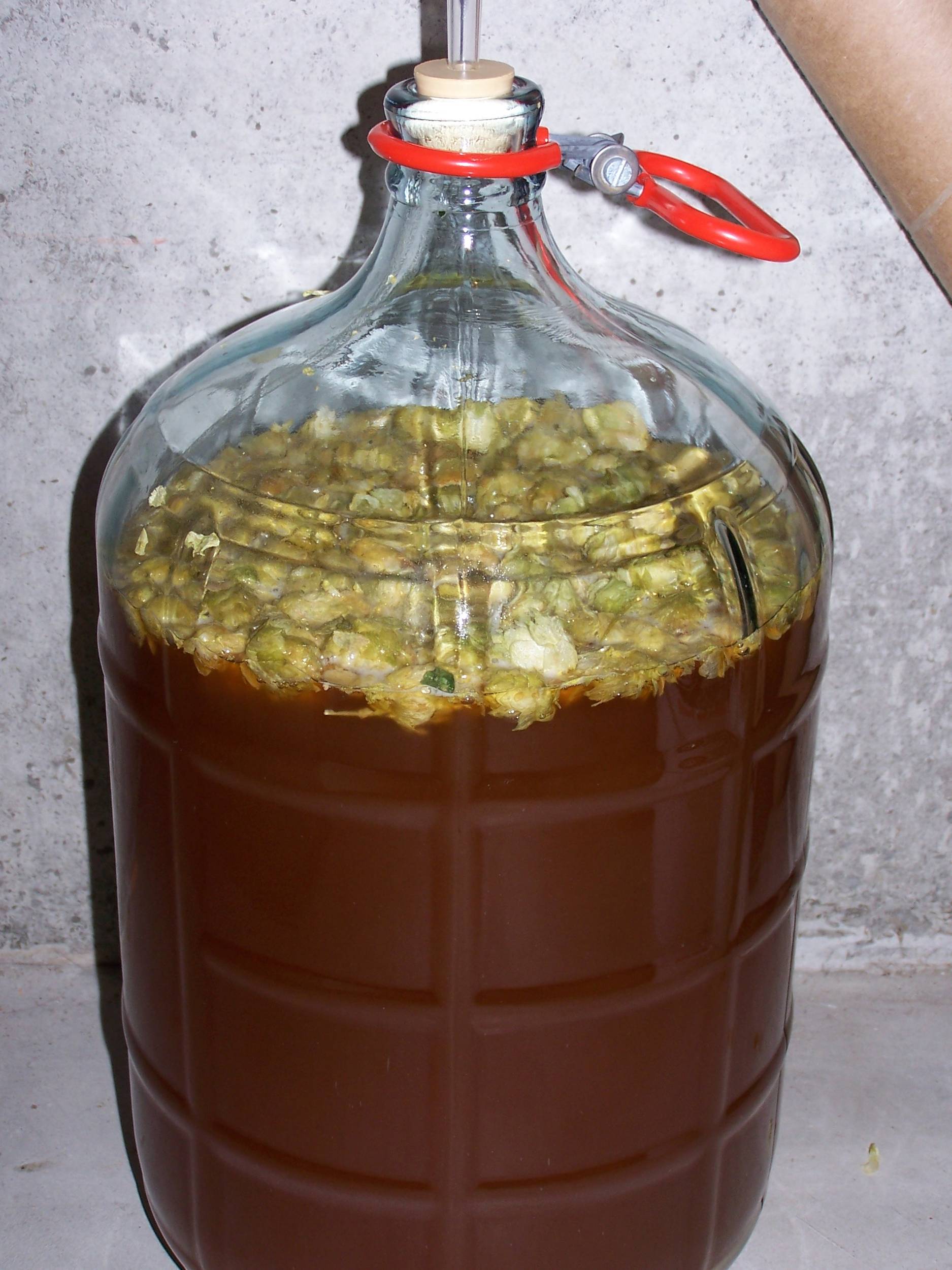 DryHopping