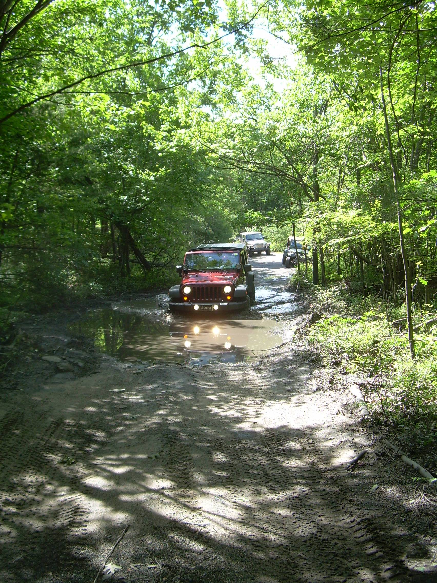 DSCN1610