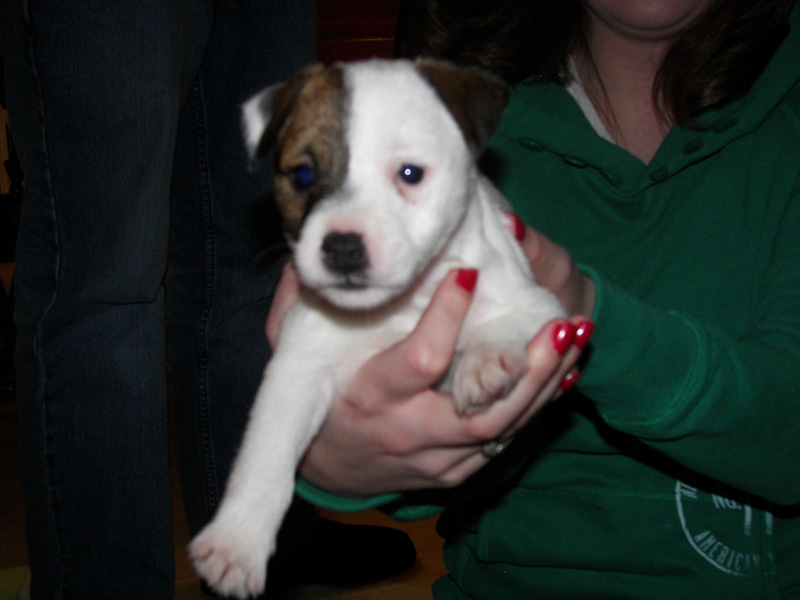 Molly_2_RS