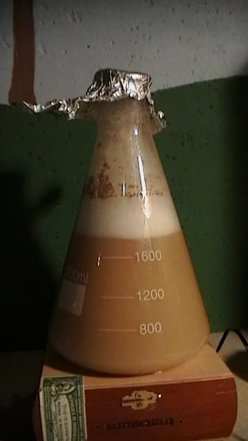YeastStarterFermentation