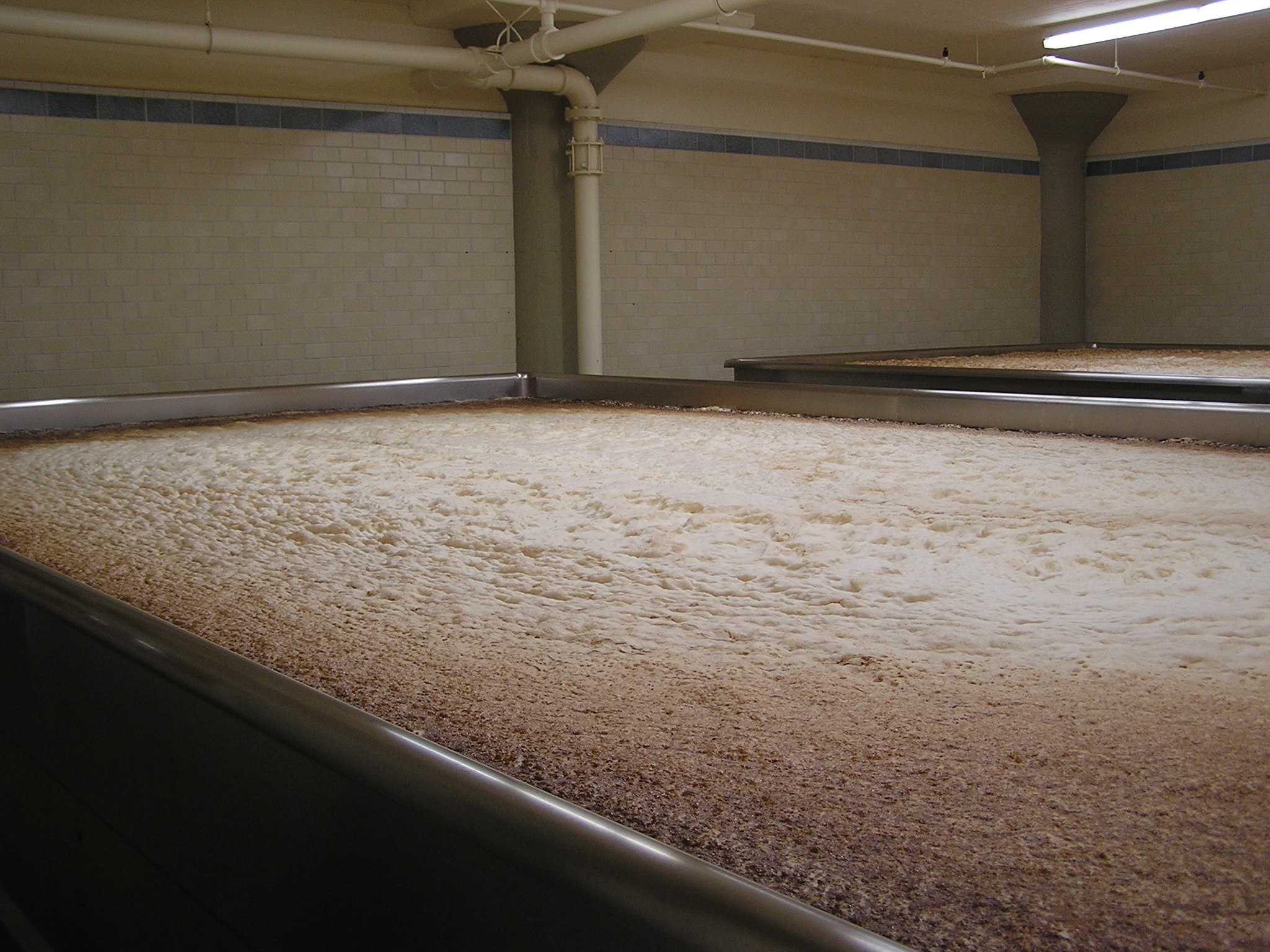GuestBrewingAnchorSteamBrewery