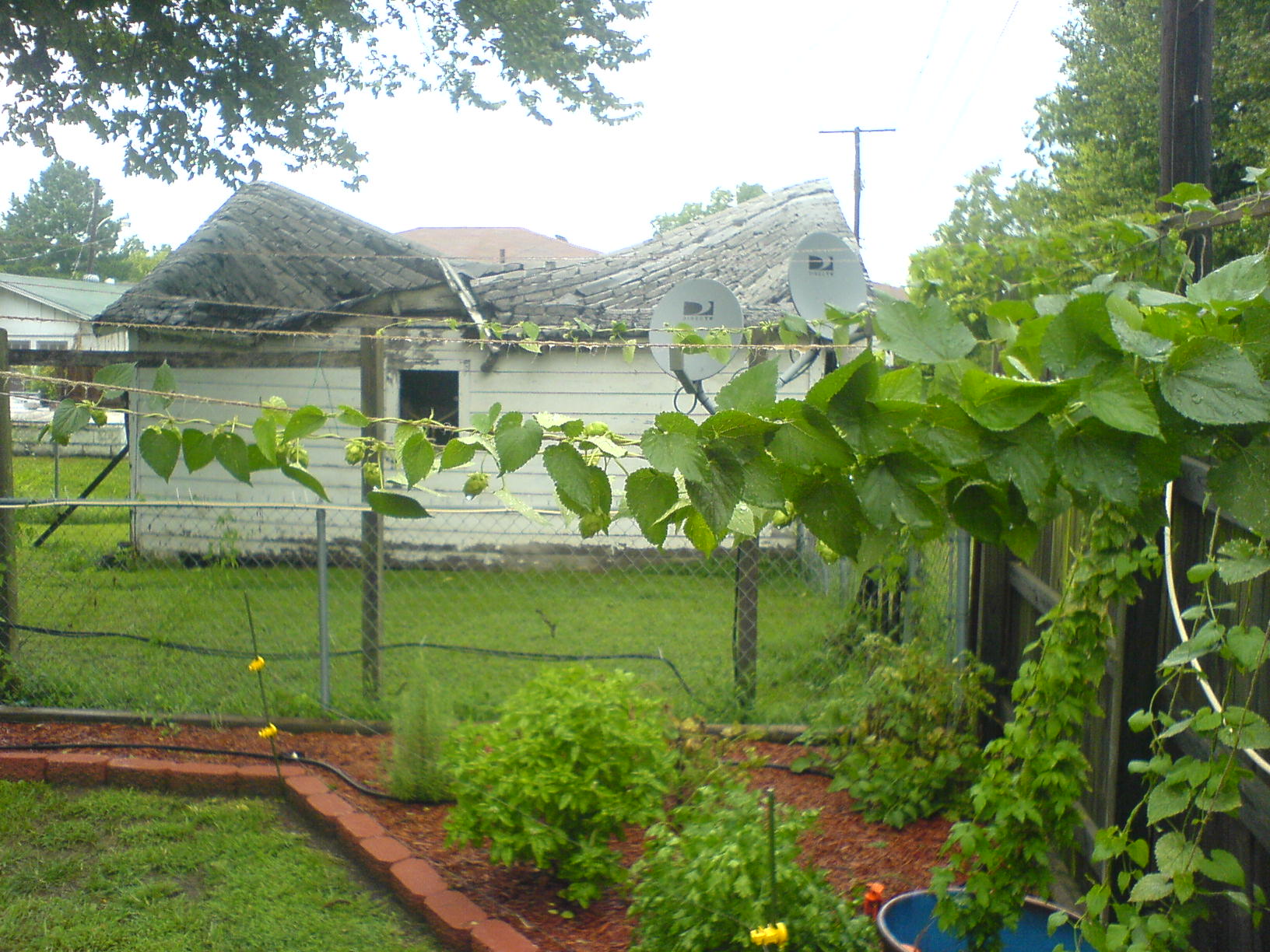 DSC00378