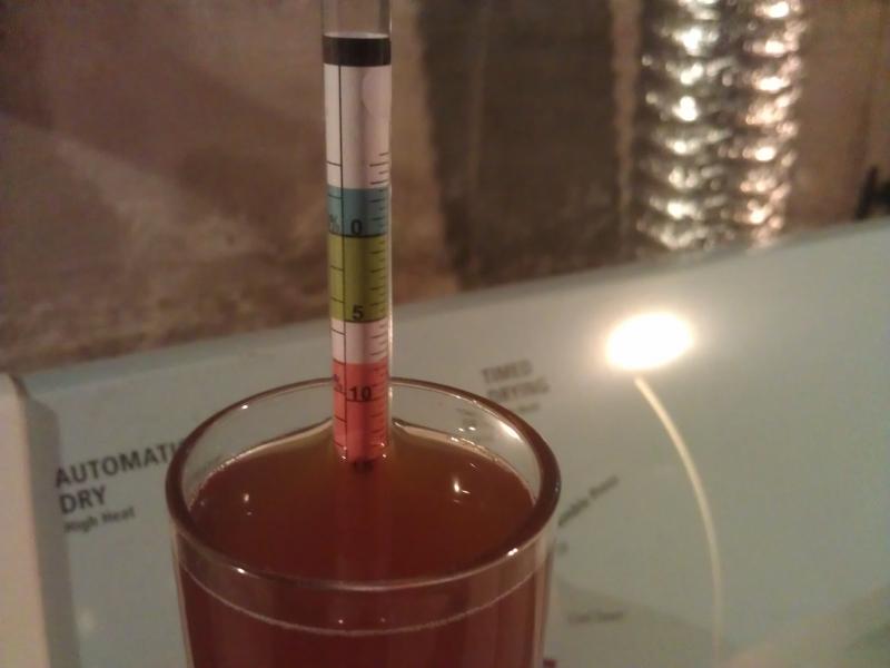 IMAG0498.jpg